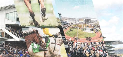 Cheltenham Day 3 Tips: Check out all Thursday's selections here.